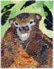 Filename=Groundhog2016_13.jpg
Filesize=207KiB
Dimensions=576x733
Date added=Jan 29, 2016 Groundhog2016_13.jpg