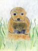 Filename=Groundhog_04_2011.jpg
Filesize=412KiB
Dimensions=1200x1577
Date added=Jan 27, 2011 Groundhog_04_2011.jpg