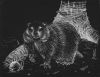 Filename=Groundhog_2017_05.jpg
Filesize=203KiB
Dimensions=931x720
Date added=Feb 01, 2017 Groundhog_2017_05.jpg