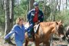 Filename=HHH47.jpg
Filesize=288KiB
Dimensions=1200x800
Date added=May 06, 2010 HHH47.jpg