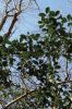 Filename=HIKE_2166.jpg
Filesize=259KiB
Dimensions=648x972
Date added=Mar 19, 2014 HIKE_2166.jpg