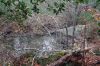 Filename=HammondQuary_9885.jpg
Filesize=443KiB
Dimensions=1080x720
Date added=Nov 30, 2016 HammondQuary_9885.jpg
