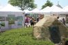 Harbor-Days-072524-Shipyard-Park.jpg