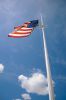 Filename=Harbor-Days-2012-22.jpg
Filesize=176KiB
Dimensions=1200x1807
Date added=Jul 25, 2012 Harbor-Days-2012-22.jpg