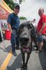 Filename=HarborDays2014_11.jpg
Filesize=201KiB
Dimensions=864x1301
Date added=Jul 22, 2014 HarborDays2014_11.jpg