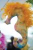Filename=HarborDays2014_13.jpg
Filesize=134KiB
Dimensions=864x1301
Date added=Jul 22, 2014 HarborDays2014_13.jpg