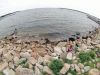 Filename=HarborDays2014_2__12.jpg
Filesize=183KiB
Dimensions=864x648
Date added=Jul 22, 2014 HarborDays2014_2__12.jpg