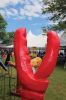 Filename=HarborDays_8013.jpg
Filesize=110KiB
Dimensions=480x720
Date added=Jul 24, 2019 HarborDays_8013.jpg