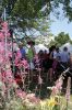 Filename=HarborDays_8534.jpg
Filesize=178KiB
Dimensions=480x720
Date added=Jul 20, 2016 HarborDays_8534.jpg