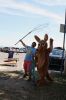 Filename=HarborDays_8544.jpg
Filesize=76KiB
Dimensions=480x720
Date added=Jul 20, 2016 HarborDays_8544.jpg