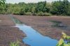 HartleyDam_7236.jpg