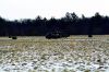 Filename=Helecopter_Rochester.JPG
Filesize=773KiB
Dimensions=720x480
Date added=Jan 30, 2013 Helecopter_Rochester.JPG