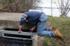 Filename=Herring_1072.jpg
Filesize=278KiB
Dimensions=1080x720
Date added=Apr 26, 2017 Herring_1072.jpg