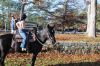 Filename=Horse-Show-2-111022-09_30_26.jpg
Filesize=435KiB
Dimensions=1080x720
Date added=Nov 09, 2022 Horse-Show-2-111022-09_30_26.jpg