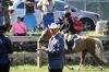 Filename=HorseShow_7741.jpg
Filesize=150KiB
Dimensions=1080x720
Date added=Jul 10, 2019 HorseShow_7741.jpg