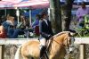 Filename=HorseShow_7744.jpg
Filesize=195KiB
Dimensions=1080x720
Date added=Jul 10, 2019 HorseShow_7744.jpg