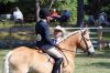Filename=HorseShow_7748.jpg
Filesize=158KiB
Dimensions=1080x720
Date added=Jul 10, 2019 HorseShow_7748.jpg