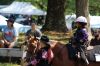 Filename=HorseShow_7750.jpg
Filesize=167KiB
Dimensions=1080x720
Date added=Jul 10, 2019 HorseShow_7750.jpg