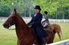 Filename=Horse_face.jpg
Filesize=212KiB
Dimensions=1200x800
Date added=Jul 11, 2012 Horse_face.jpg