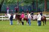 Filename=Horse_winners.jpg
Filesize=277KiB
Dimensions=1200x800
Date added=Jul 11, 2012 Horse_winners.jpg
