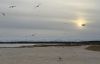 Filename=Jen-Shepley_5209.jpg
Filesize=97KiB
Dimensions=1111x720
Date added=Dec 11, 2024 Jen-Shepley_5209.jpg