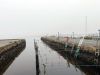 Filename=JenShepley_01.jpg
Filesize=109KiB
Dimensions=960x720
Date added=Mar 31, 2021 JenShepley_01.jpg