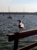 Filename=JenShepley_7007.jpg
Filesize=107KiB
Dimensions=540x720
Date added=Aug 05, 2020 JenShepley_7007.jpg