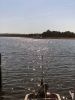 Filename=JenShepley_7015.jpg
Filesize=95KiB
Dimensions=540x720
Date added=Aug 05, 2020 JenShepley_7015.jpg