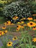 Filename=JenShepley_7168.jpg
Filesize=193KiB
Dimensions=540x720
Date added=Aug 05, 2020 JenShepley_7168.jpg