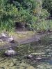 Filename=JenShepley_7241.jpg
Filesize=204KiB
Dimensions=540x720
Date added=Aug 05, 2020 JenShepley_7241.jpg