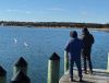 Filename=JenShepley_Boats.jpg
Filesize=161KiB
Dimensions=936x720
Date added=Jan 15, 2025 JenShepley_Boats.jpg