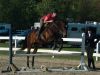 Filename=KatieandMax_0929.jpg
Filesize=198KiB
Dimensions=1200x900
Date added=Sep 28, 2011 KatieandMax_0929.jpg