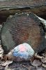 KindnessRocks_0471.jpg