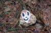 KindnessRocks_0491.jpg