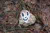 KindnessRocks_0491.jpg