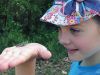 Filename=LadyBugs_2973.jpg
Filesize=86KiB
Dimensions=648x486
Date added=Jun 03, 2015 LadyBugs_2973.jpg