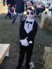 Filename=LionsFunDay_ML_4370.jpg
Filesize=163KiB
Dimensions=542x720
Date added=Oct 23, 2019 LionsFunDay_ML_4370.jpg