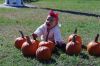 Filename=LionsFunDay_S_9837.jpg
Filesize=273KiB
Dimensions=1080x720
Date added=Oct 23, 2019 LionsFunDay_S_9837.jpg