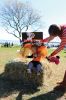 Filename=LionsFunDay_S_9892.jpg
Filesize=134KiB
Dimensions=480x720
Date added=Oct 23, 2019 LionsFunDay_S_9892.jpg