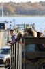 Filename=LionsFunFair_4682.jpg
Filesize=70KiB
Dimensions=480x720
Date added=Nov 07, 2018 LionsFunFair_4682.jpg