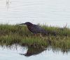 Filename=Livingstone2.jpg
Filesize=195KiB
Dimensions=839x720
Date added=Jun 09, 2021 Livingstone2.jpg