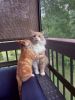 Filename=LynnLake.jpg
Filesize=132KiB
Dimensions=540x720
Date added=Aug 25, 2021 LynnLake.jpg