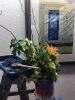 Filename=MAC_3377.jpg
Filesize=175KiB
Dimensions=648x864
Date added=Jun 19, 2019 MAC_3377.jpg