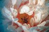 Filename=MAC_Flower.jpg
Filesize=109KiB
Dimensions=864x576
Date added=Jan 17, 2013 MAC_Flower.jpg