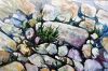 Filename=MAC_Rocks.jpg
Filesize=220KiB
Dimensions=864x576
Date added=Jan 17, 2013 MAC_Rocks.jpg