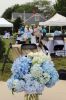 Filename=MLT-50th-Brunch-070424-Cover-1-4.jpg
Filesize=90KiB
Dimensions=480x720
Date added=Jul 03, 2024 MLT-50th-Brunch-070424-Cover-1-4.jpg