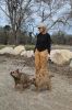 Filename=MLT-Dog-Walk-050125-Mick-1960.jpg
Filesize=164KiB
Dimensions=480x720
Date added=Apr 30, 2025 MLT-Dog-Walk-050125-Mick-1960.jpg
