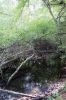 Filename=MLT-Edu-Vernal-Pool-1of2-062724.jpg
Filesize=184KiB
Dimensions=480x720
Date added=Jun 26, 2024 MLT-Edu-Vernal-Pool-1of2-062724.jpg