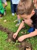 MLT-Planting-061324-2249-Marilou.jpg