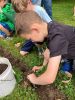 MLT-Planting-061324-2250-Marilou.jpg